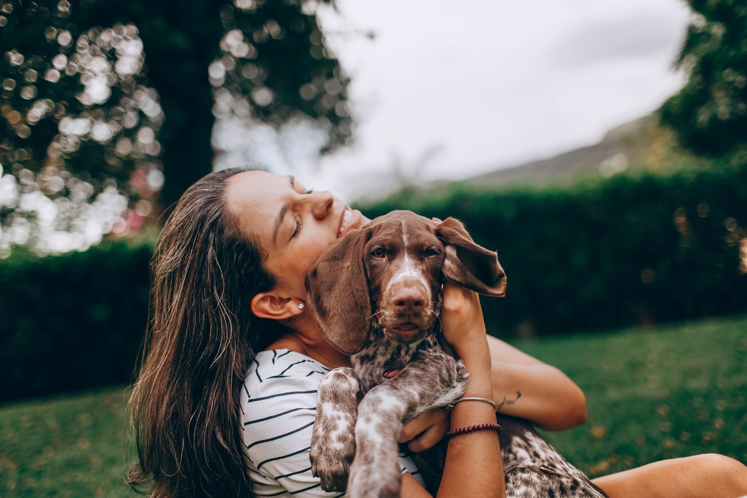 犬の心理学とは？科学的視点から解明
